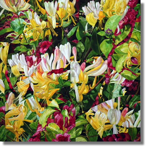 Woodbine
oil on canvas
91 x 91 cm